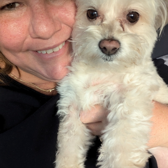 Meet your Posher, Erika - Picture 3 of 4